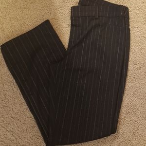 Dress Pants